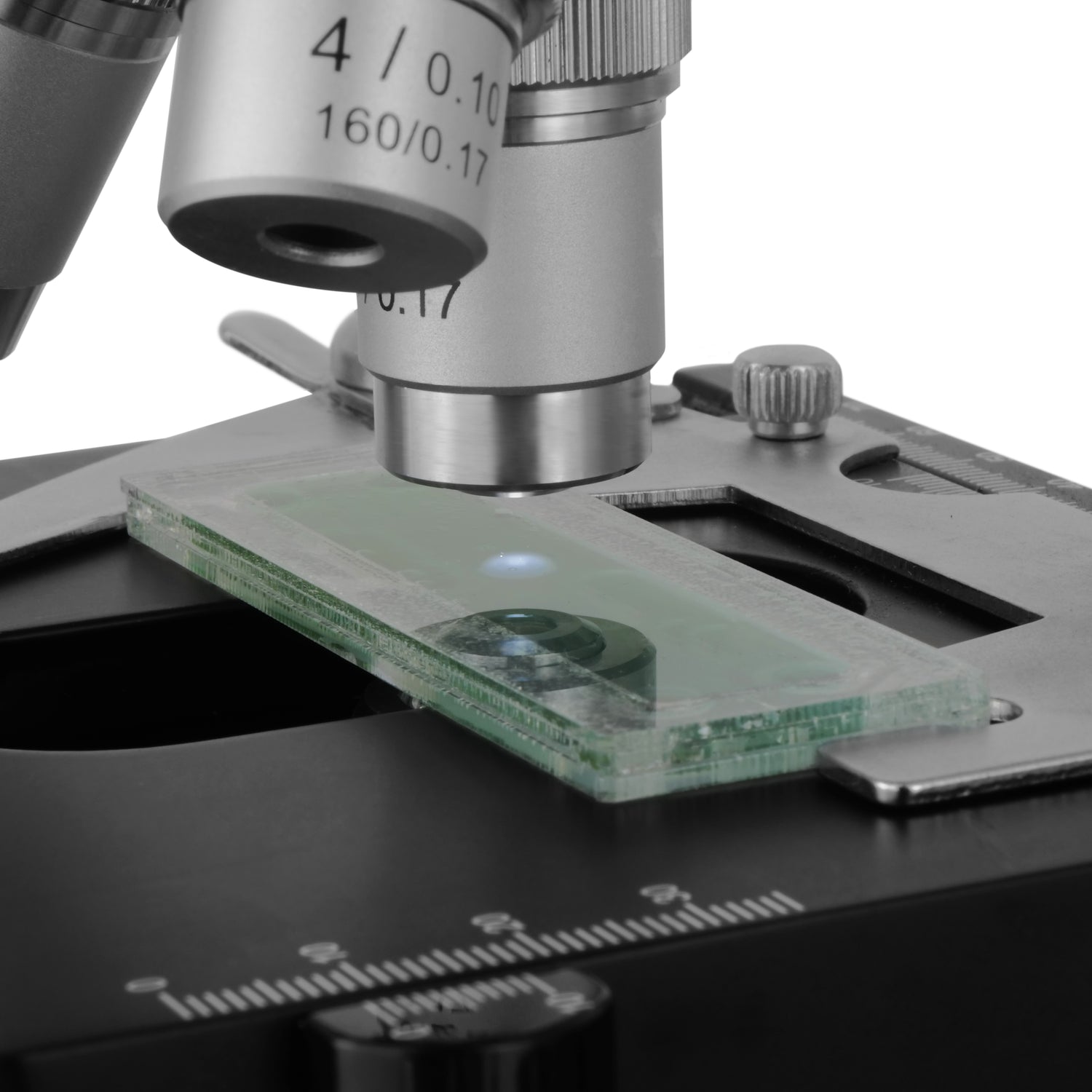 Made for your Microscope