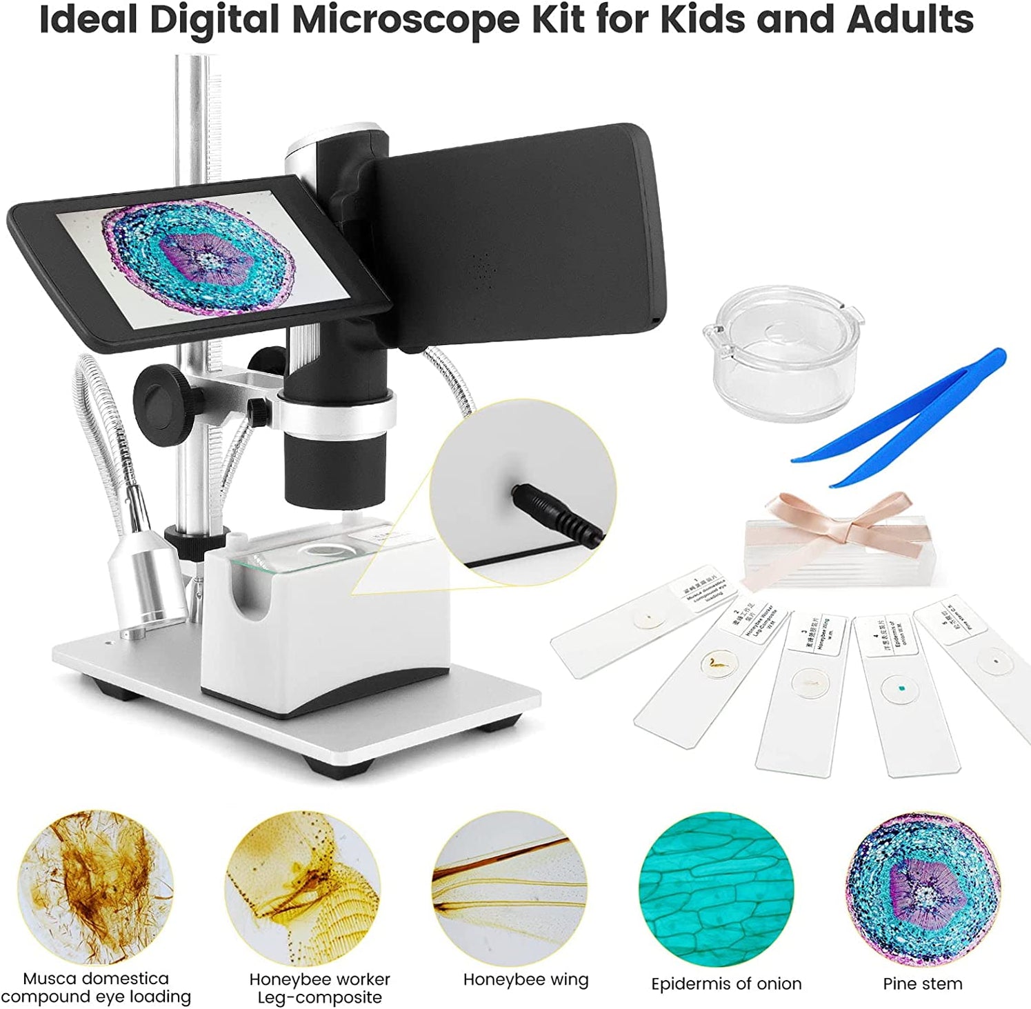 Microscope Movable Andonstar Portable Microscope w/Stand | Micro Safari