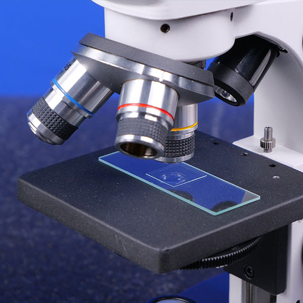At Home Sperm Observation Microscope Kit | Micro Safari